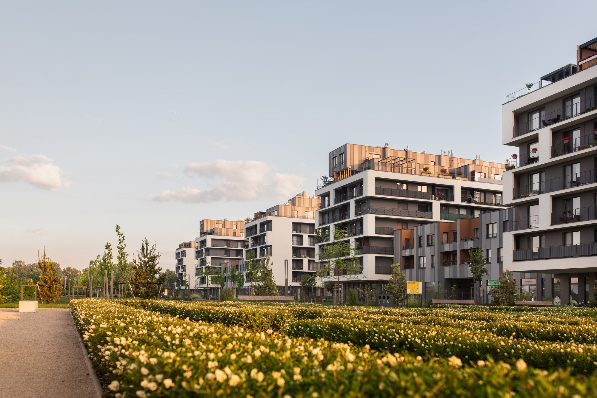 Rastieme spolu. Slnečnice sú najpredávanejšie bývanie v Bratislave